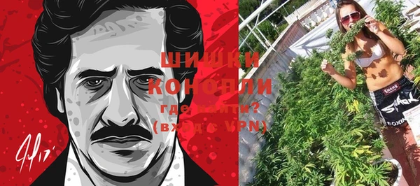 дурь Нягань