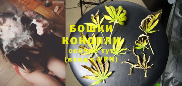 дурь Нягань