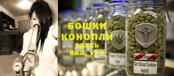 дурь Нягань