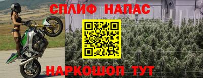 дмт Нарткала