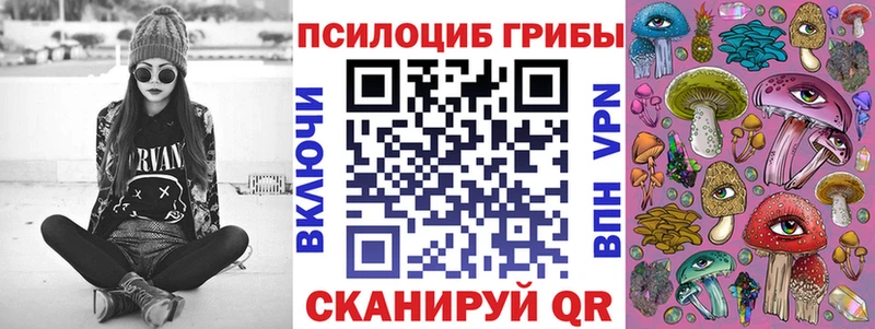 как найти закладки  Ставрополь  Галлюциногенные грибы Psilocybe 