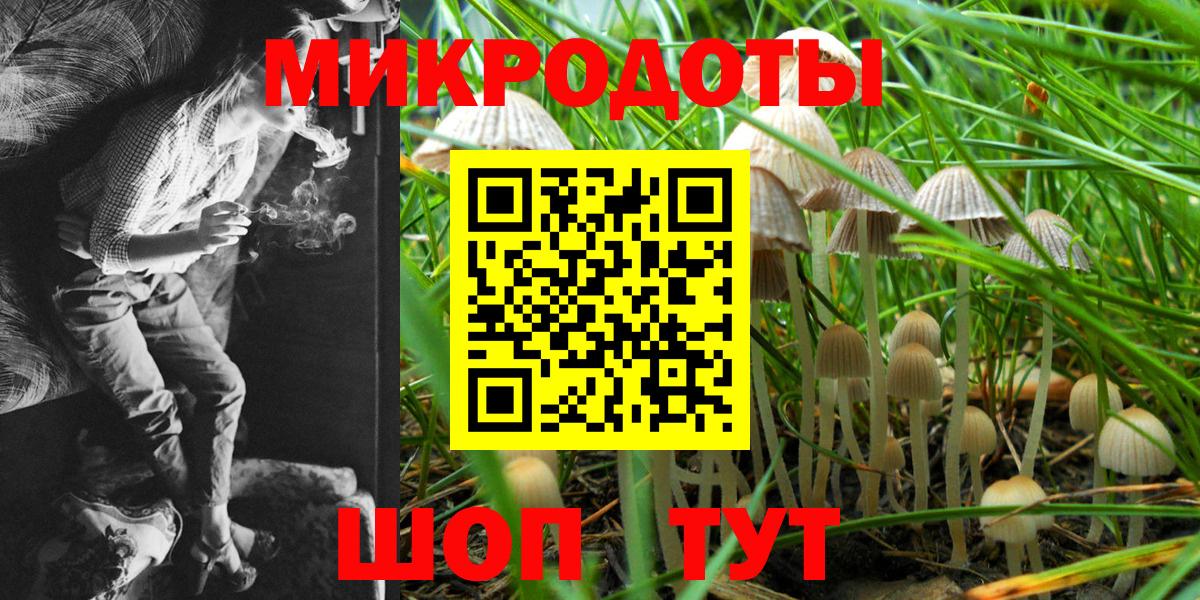 Псилоцибиновые грибы прущие грибы  Вход с VPN  Ставрополь  Псилоцибиновые грибы Magic Shrooms 