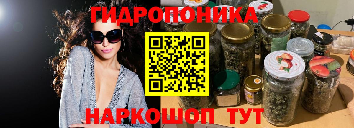 Бошки марихуана марихуана  Конопля планчик  МАРИХУАНА ГИДРОПОН  Ставрополь  Вход с VPN 